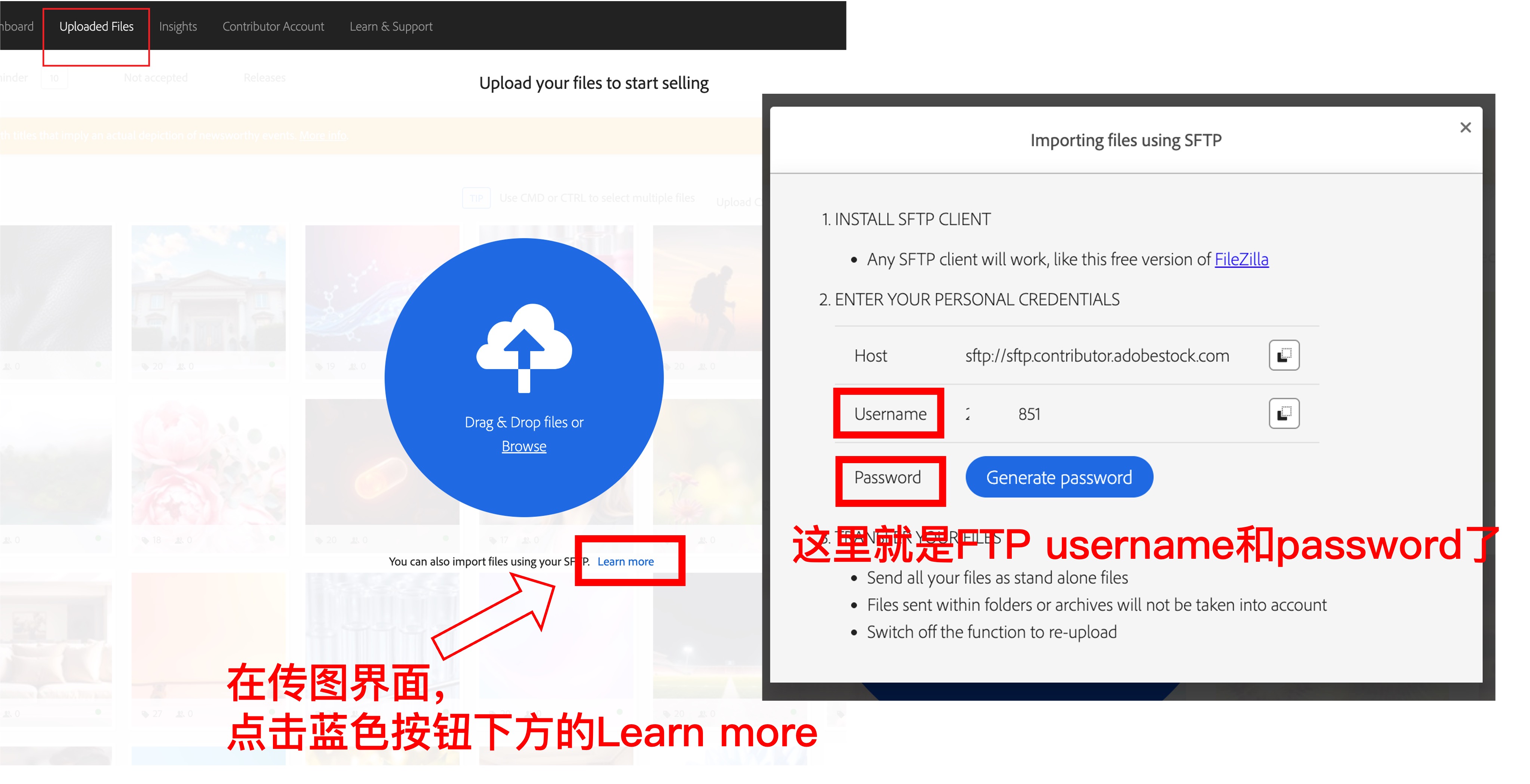 查找Adobe Stock SFTP用户名和密码